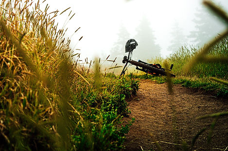 Running trails in Cape Town