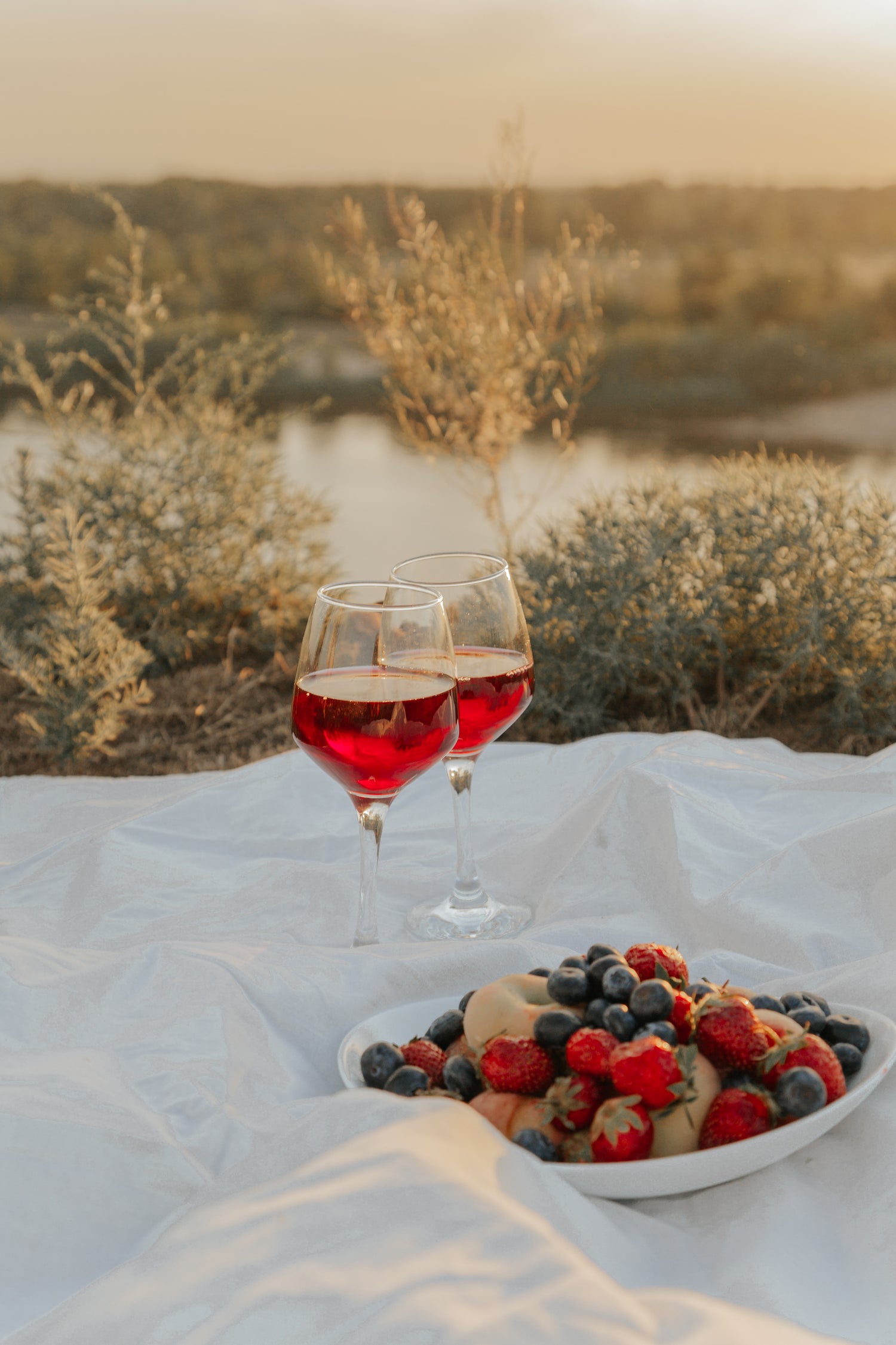 Picnic