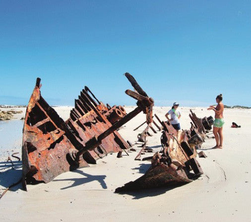 Shipwreck at Cape Point, Cape Town 